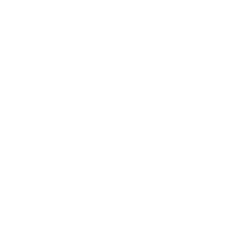 Living Stone Outreach